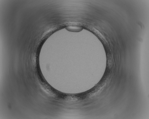 X0000111470207200908241349