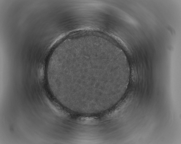 X0000111470208200908241349