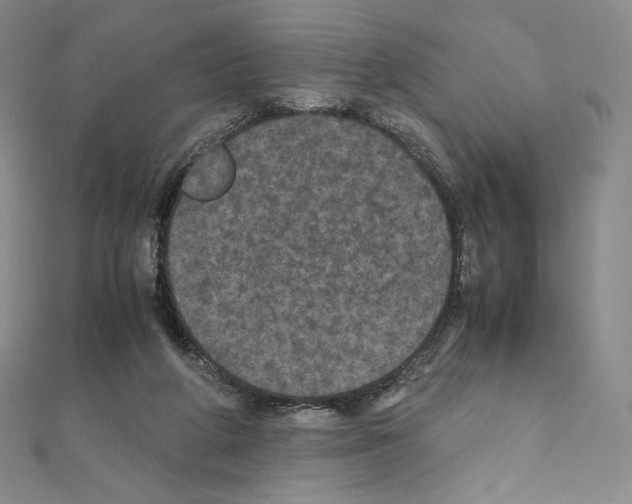 X0000111470210200908241349