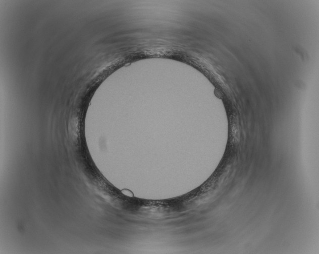 X0000111470211200908241349