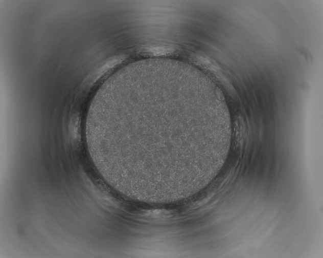 X0000111470212200908241349