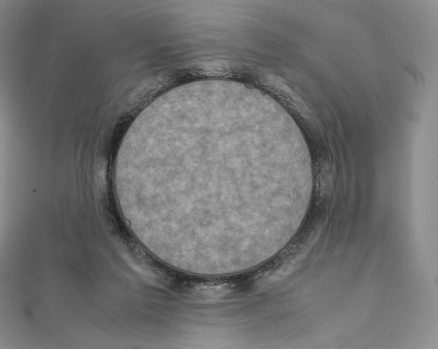 X0000111470213200908241349