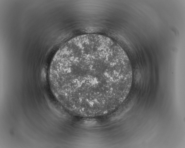 X0000111470214200908241349