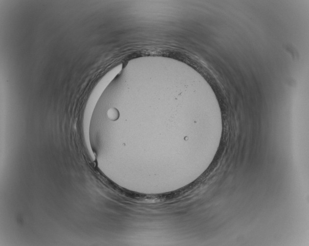 X0000111470217200908241349