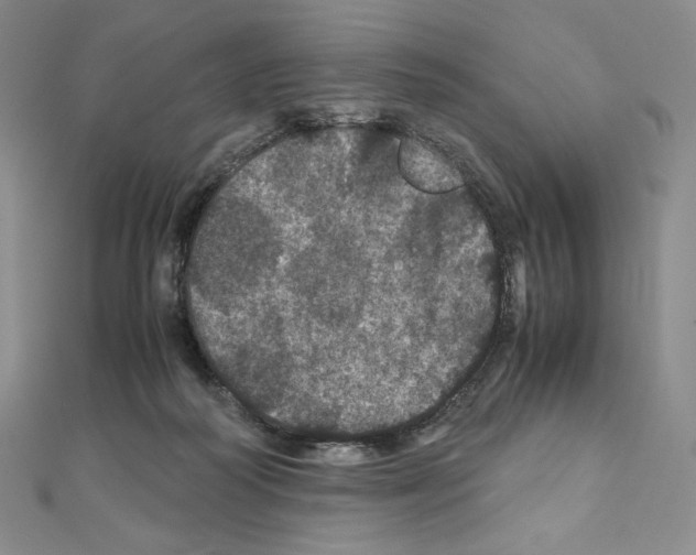 X0000111470218200908241349