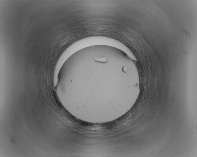 X0000111470219200908241349