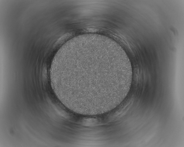 X0000111470220200908241349