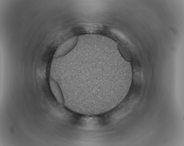 X0000111470221200908241349