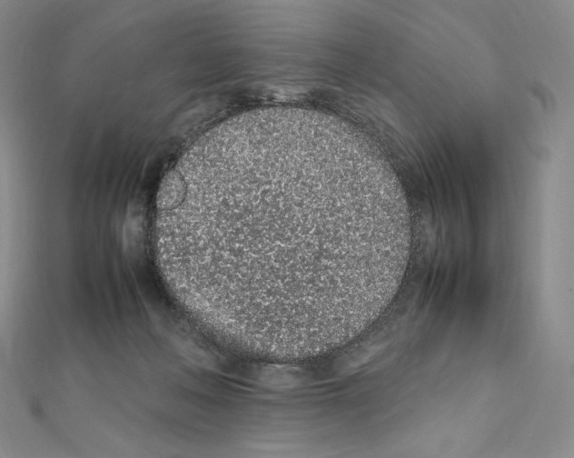 X0000111470222200908241349