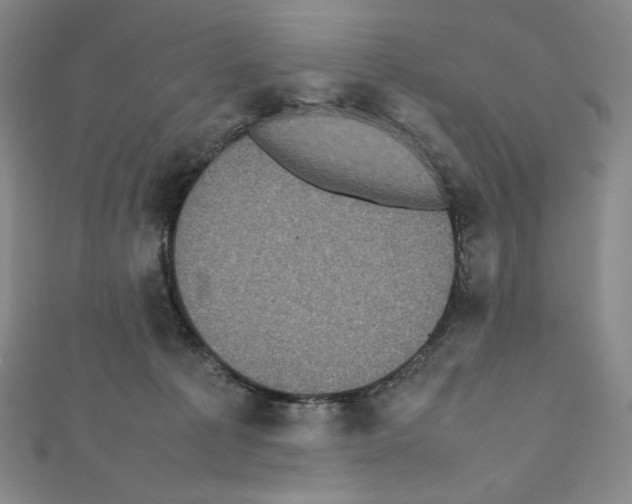 X0000111470225200908241349