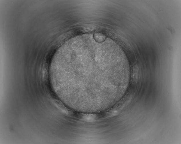 X0000111470226200908241349