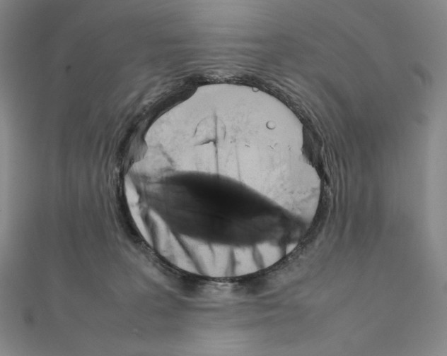 X0000111470227200908241349