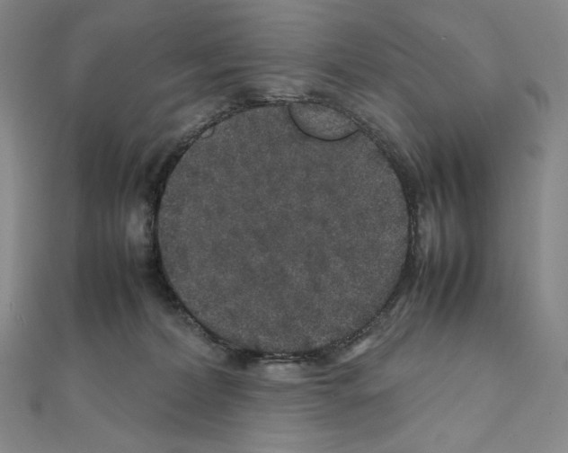 X0000111470228200908241348