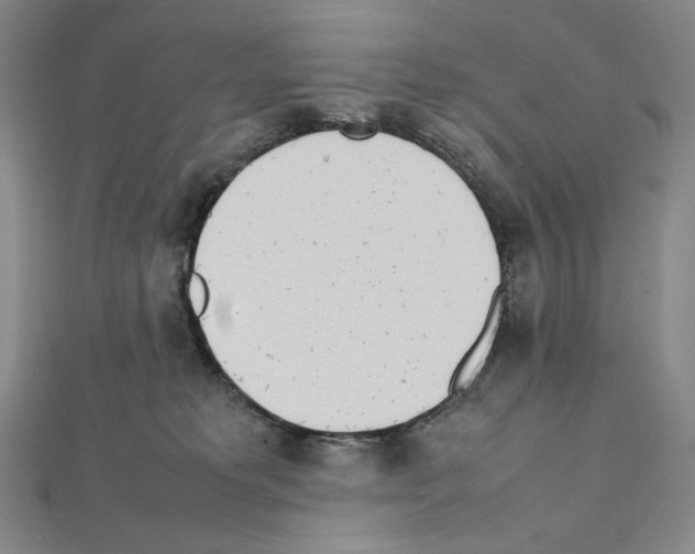 X0000111470229200908241348