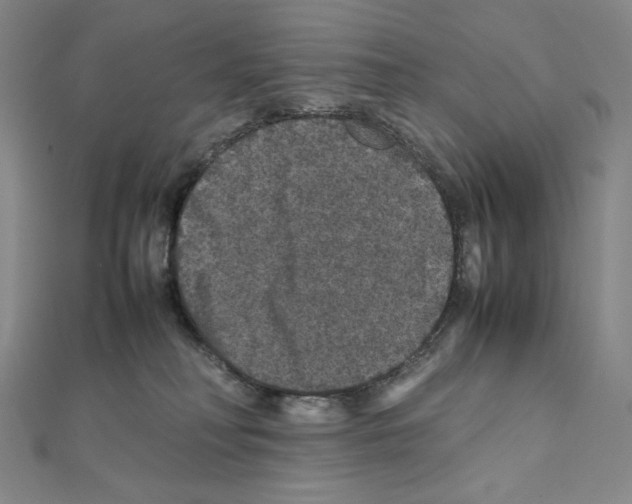 X0000111470230200908241348