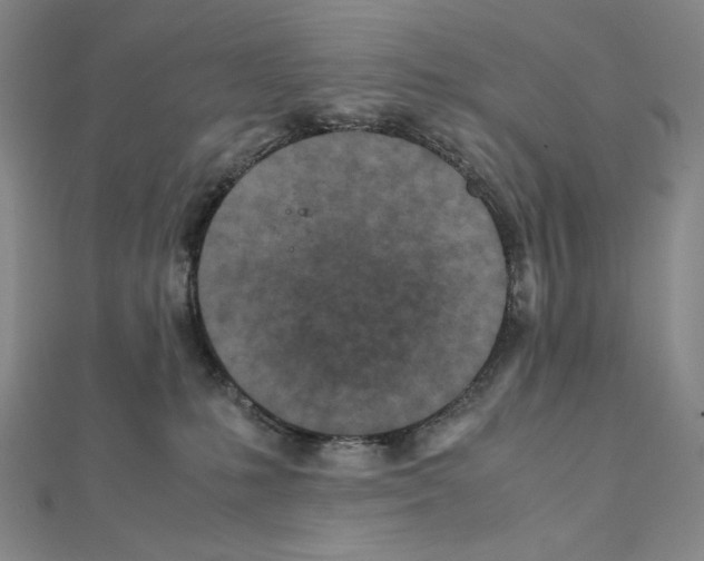 X0000111470231200908241348