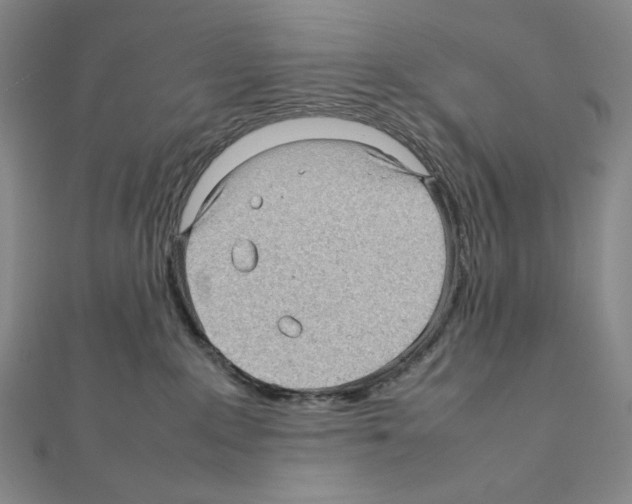 X0000111470235200908241348