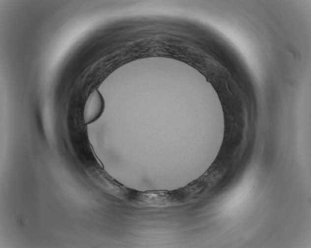 X0000111470239200908241348