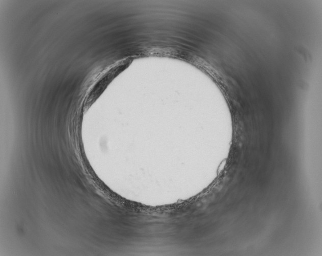 X0000111470241200908241348