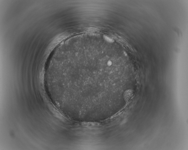 X0000111470242200908241348