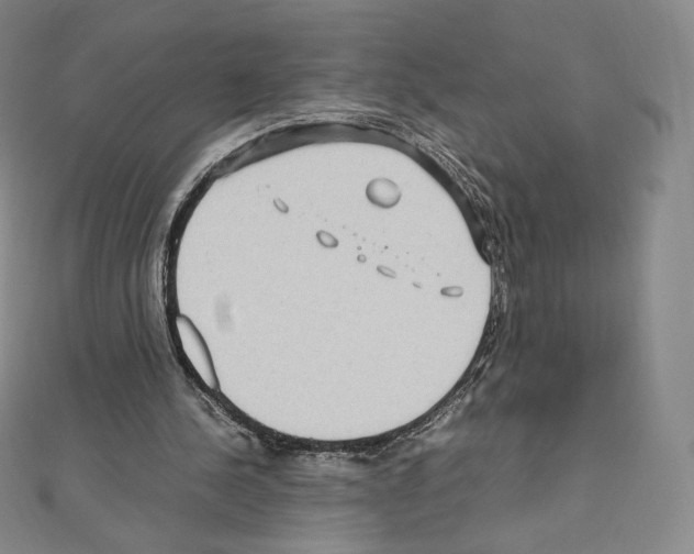 X0000111470244200908241348