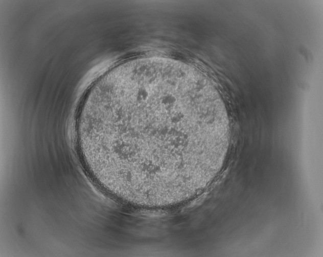 X0000111470245200908241348