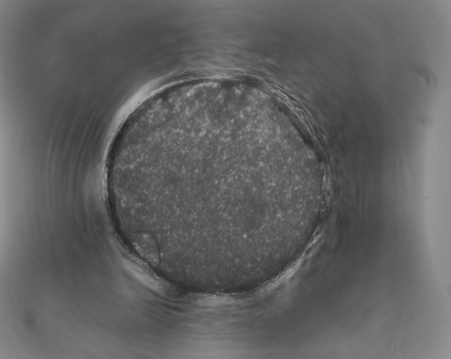 X0000111470246200908241348