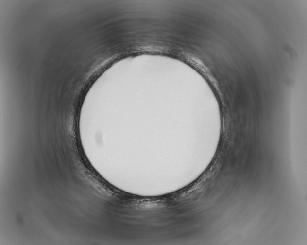 X0000111470249200908241348