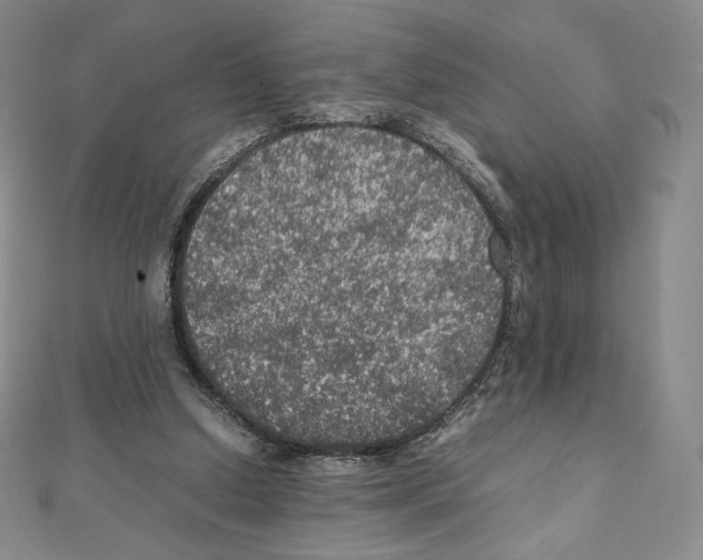 X0000111470250200908241348