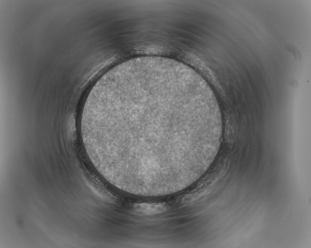 X0000111470251200908241348