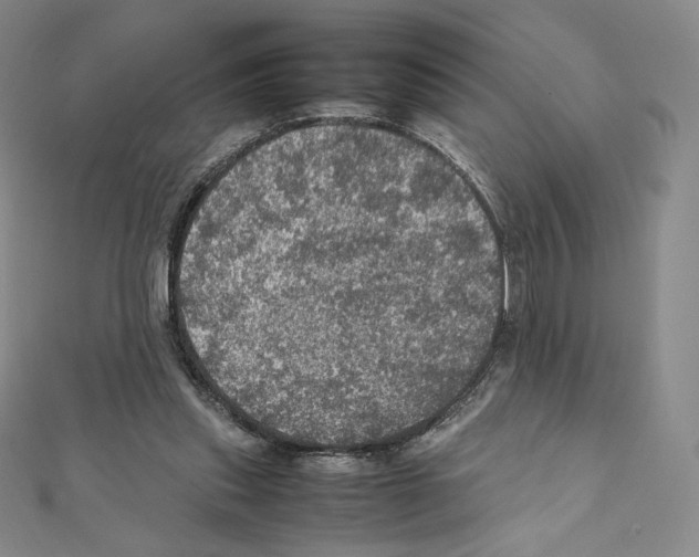 X0000111470253200908241348