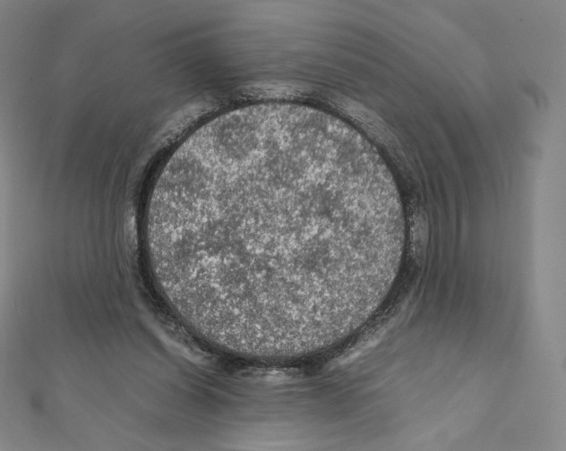 X0000111470254200908241348