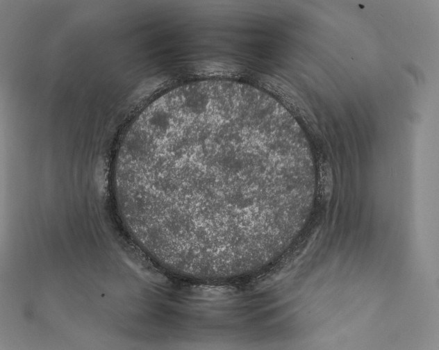 X0000111470255200908241348