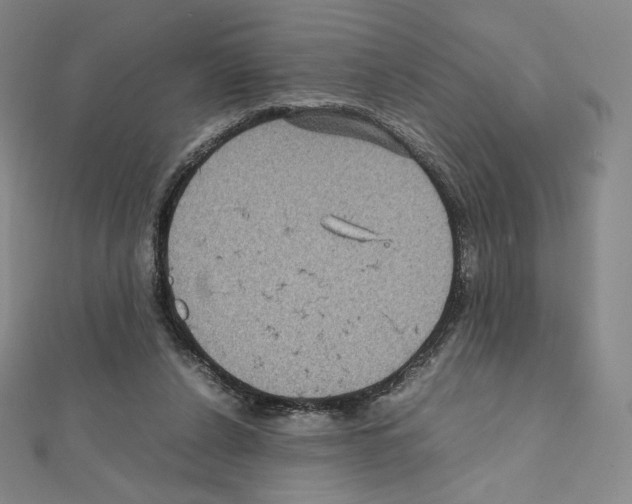 X0000111470256200908241348