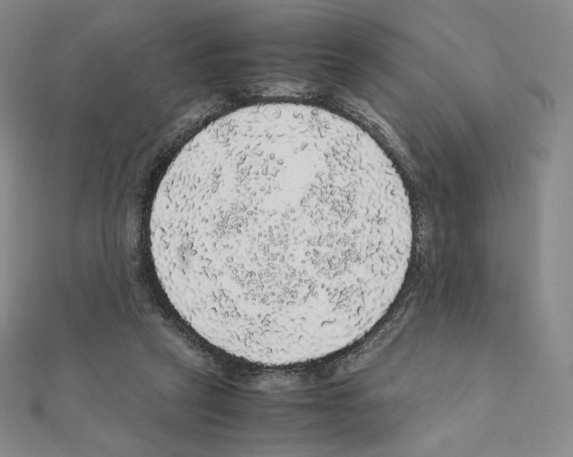 X0000111470257200908241348