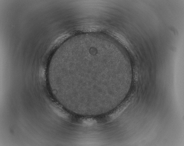 X0000111470258200908241348