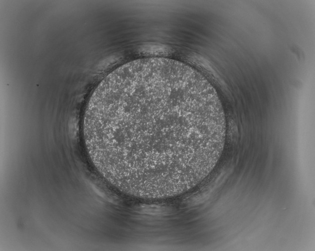 X0000111470259200908241348