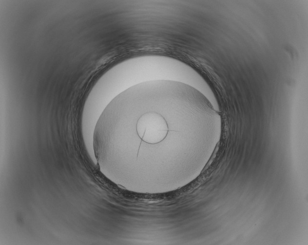 X0000111470260200908241348