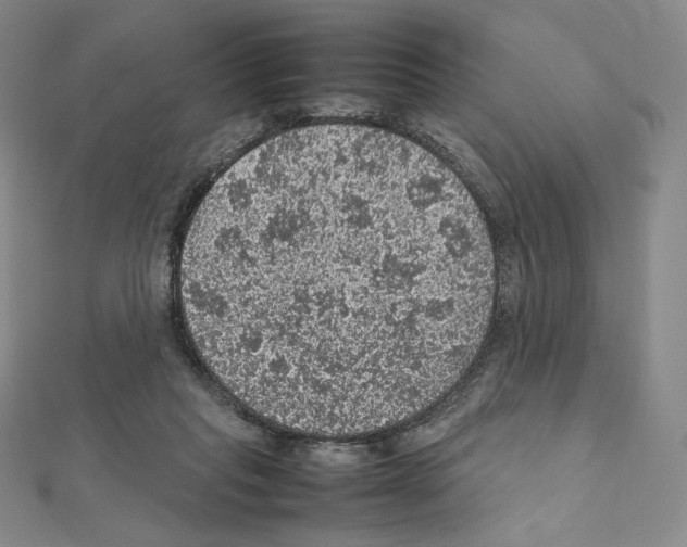 X0000111470261200908241348