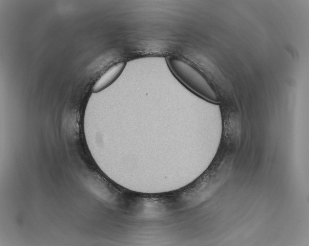 X0000111470264200908241348