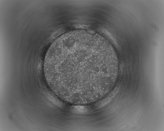 X0000111470265200908241348