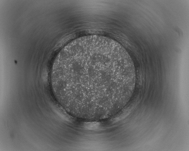 X0000111470266200908241348