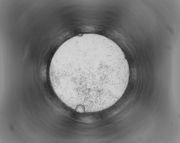 X0000111470267200908241348