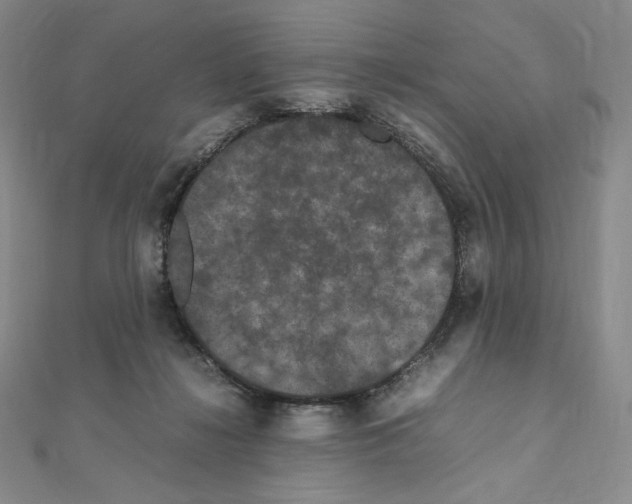 X0000111470268200908241348