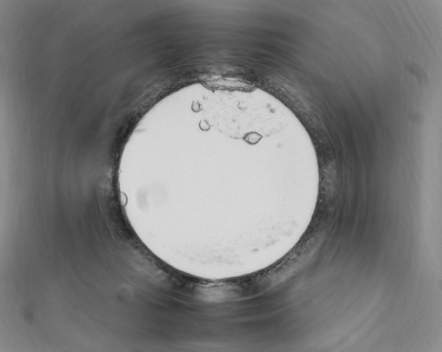 X0000111470269200908241348