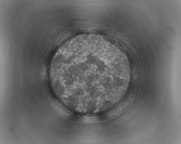 X0000111470270200908241348