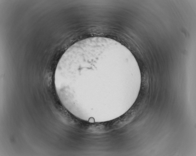 X0000111470271200908241348