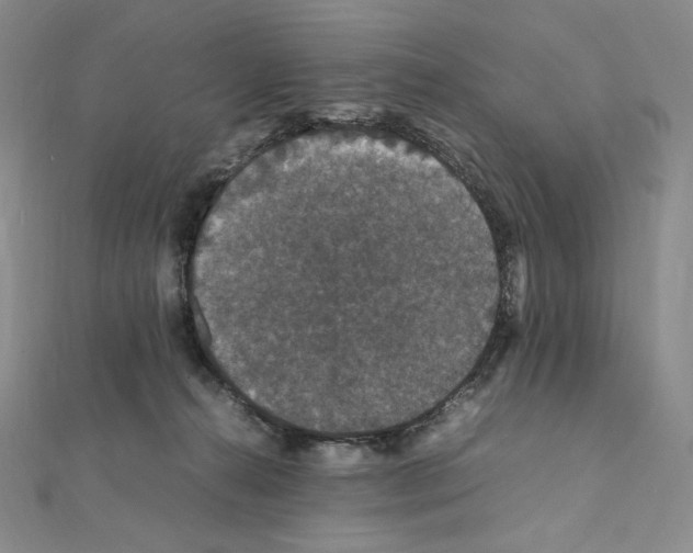 X0000111470272200908241348