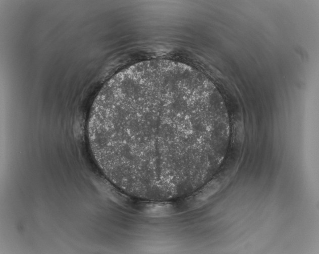 X0000111470274200908241348