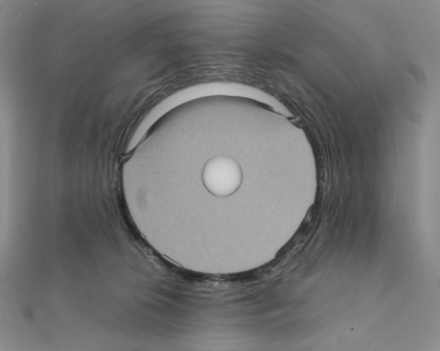 X0000111470276200908241348